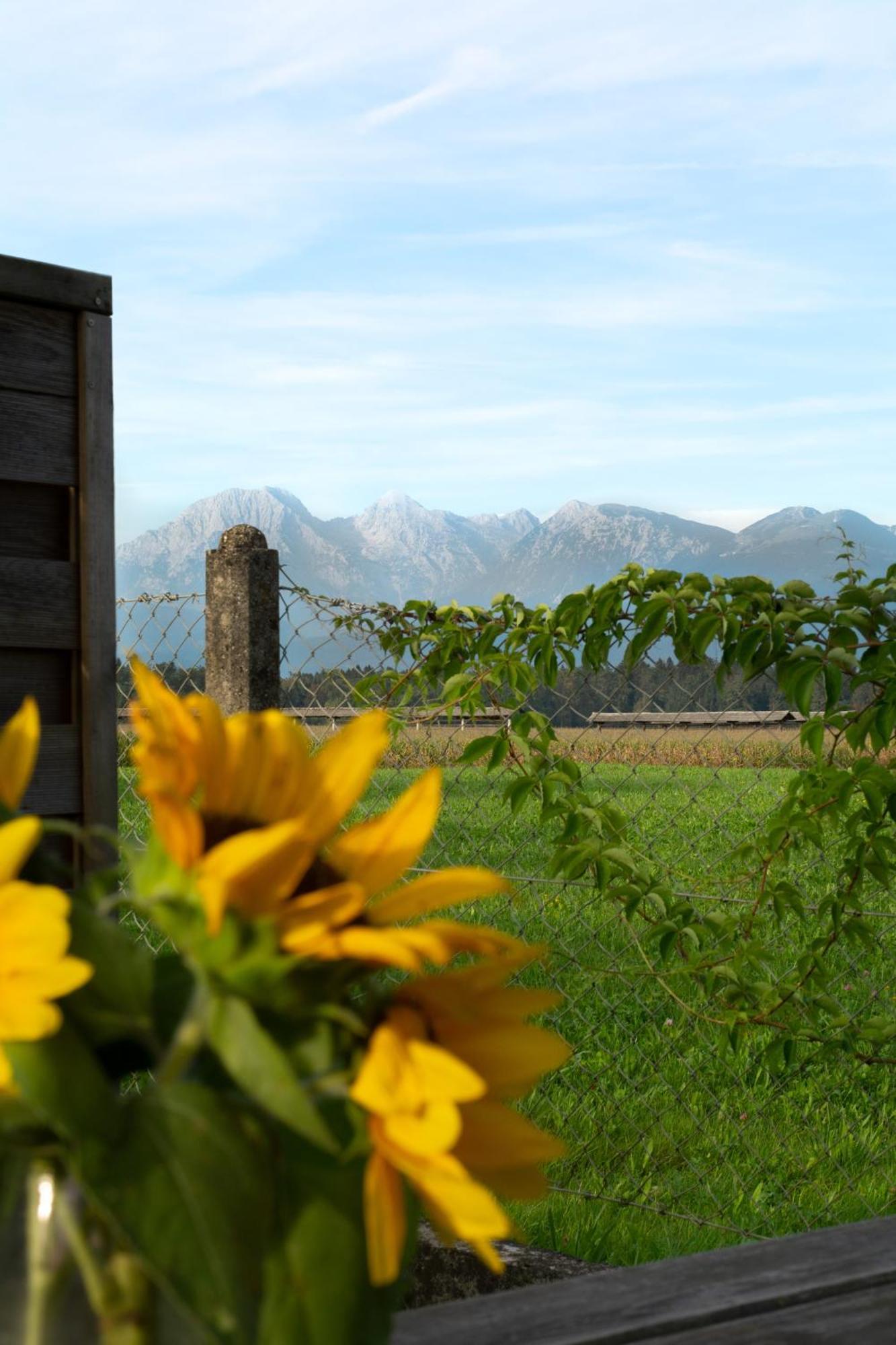 Glamping With A View Villa Smlednik Eksteriør bilde